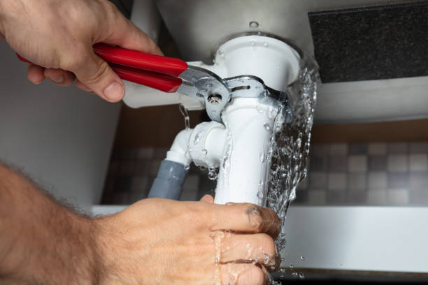 Best Water damage restoration mold remediation  in Zephyrhills West, FL