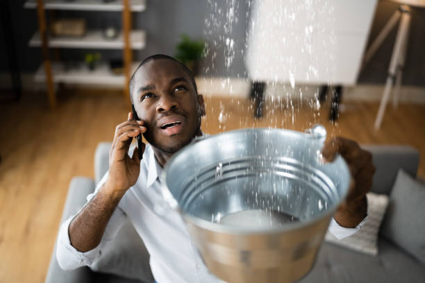 Best Sewage cleanup and water damage restoration  in Zephyrhills West, FL