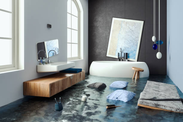 Best Professional water damage repair  in Zephyrhills West, FL