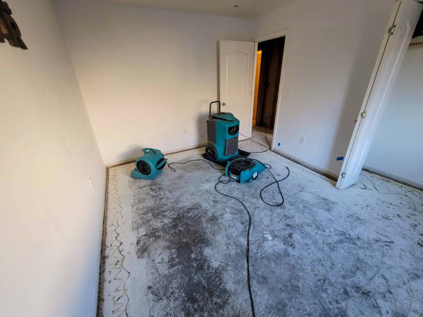 Best Water damage restoration near me  in Zephyrhills West, FL