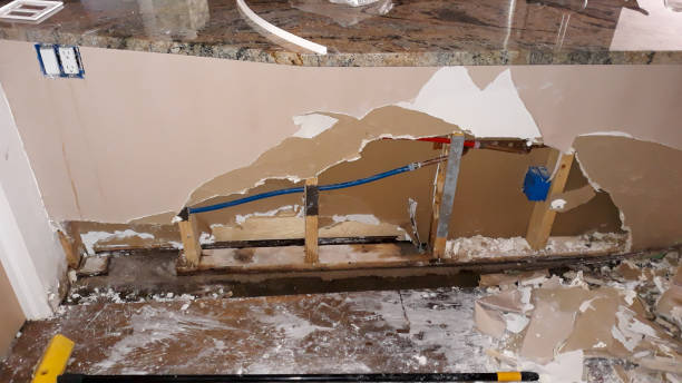 Best Ceiling water damage repair  in Zephyrhills West, FL