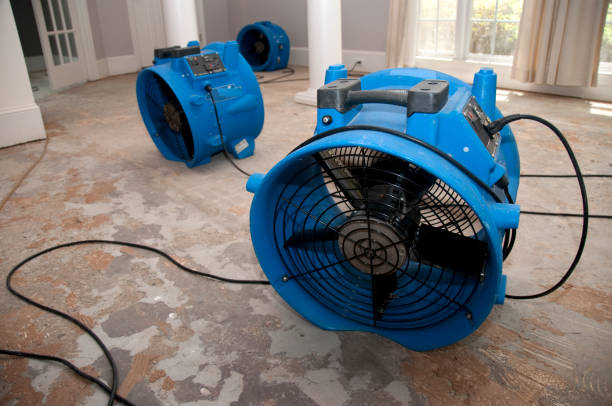 Best Fire Damage Restoration  in Zephyrhills West, FL