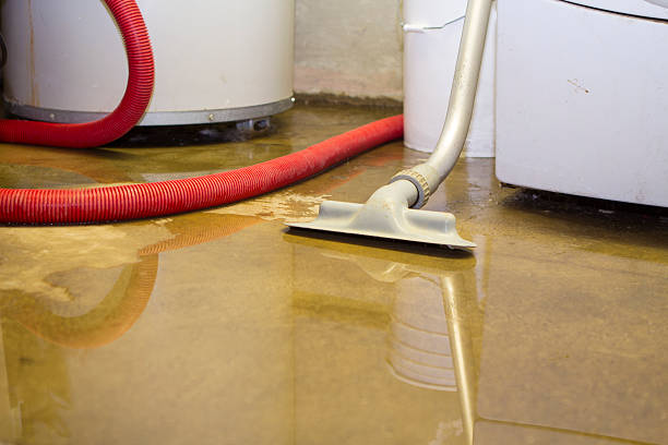 Best Flooded house restoration  in Zephyrhills West, FL