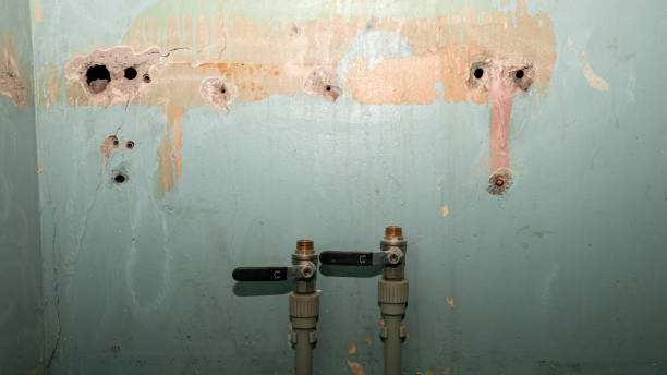 Best Emergency water damage restoration  in Zephyrhills West, FL