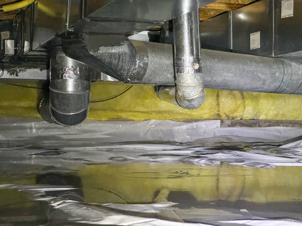 Best 24-hour water damage restoration  in Zephyrhills West, FL
