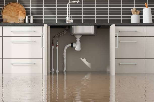 Best 24/7 water damage repair  in Zephyrhills West, FL