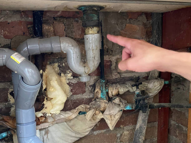 Best Water damage contractors near me  in Zephyrhills West, FL