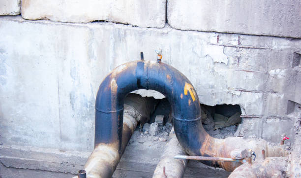 Best Basement water damage restoration  in Zephyrhills West, FL