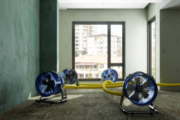Fire Damage Restoration in FL