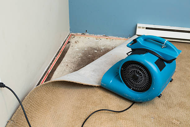 Best Commercial water damage restoration  in Zephyrhills West, FL