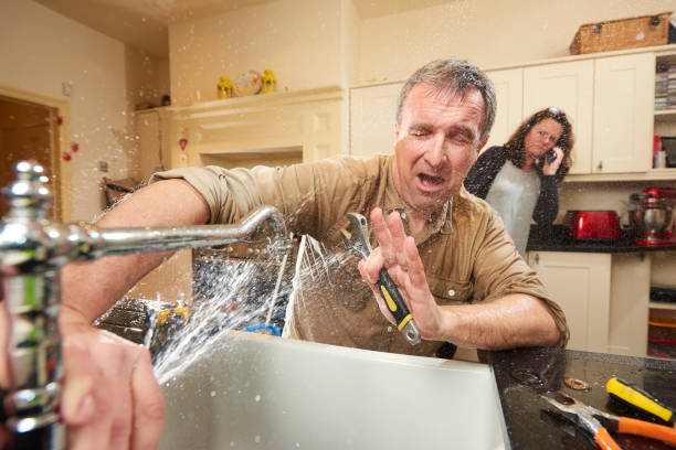  Zephyrhills West, FL Water damage restoration Pros